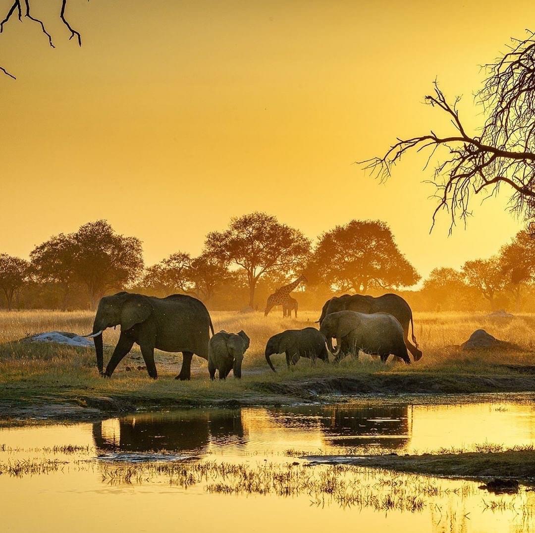 Fine Places in Zim Hwange National Park Travel Zimbabwe